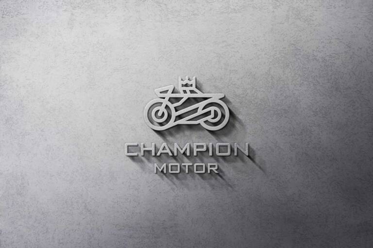 Branding design example for the Automotive and Logistics sector by TMCreation